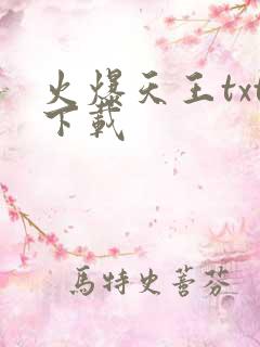 火爆天王txt下载
