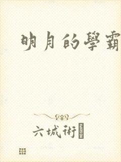 明月的学霸男友