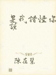 是我错怪你了小说