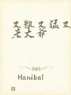 又粗又猛又大爽老大爷