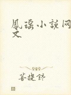 凤瑶小说网高辣文