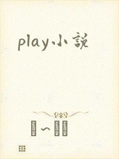 play小说