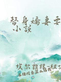 替身娇妻要离婚 小说