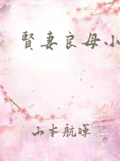 贤妻良母小说