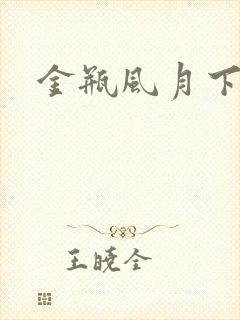 金瓶风月下载