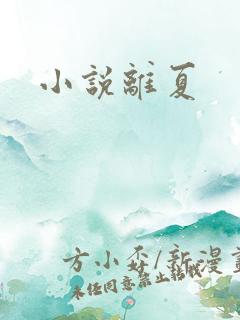 小说离夏