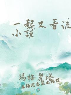 一起又看流星雨小说