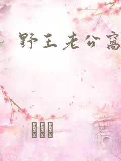 野王老公窝