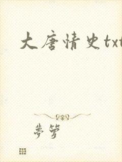 大唐情史txt
