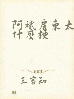 阿斌房东太太是什么梗