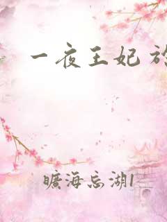 一夜王妃 于墨