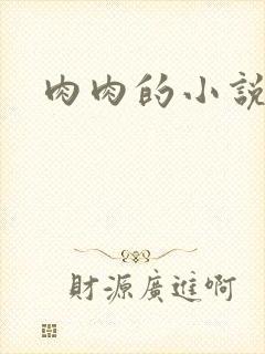 肉肉的小说