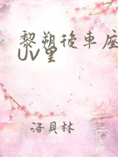 黎朔后车座上SUV里