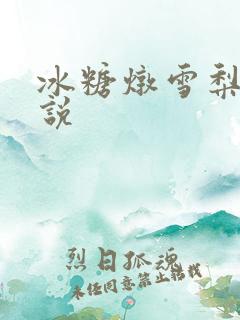 冰糖炖雪梨 小说