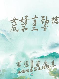 女婿有劲枪枪到底第三章