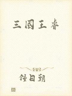 三国王睿