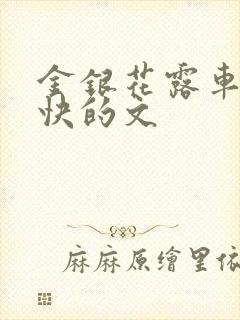 金银花露车速最快的文