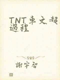 TNT车文超细过程