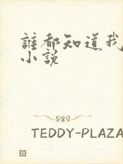 谁都知道我爱你小说