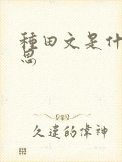 种田文是什么意思