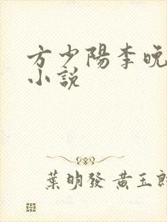 方少阳李晚晴的小说