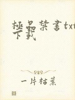 极品禁书txt下载