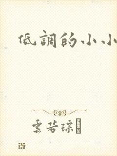 低调的小小宫女