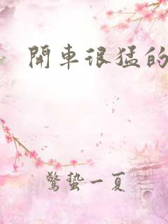 开车很猛的古文