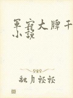 军宠大牌千金 小说