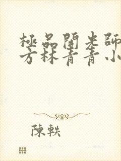 极品开光师李南方林青青小说免费阅读