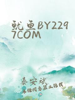 鱿鱼BY2297COM