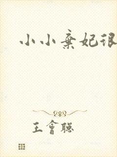 小小弃妃很倾城