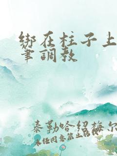 绑在柱子上用毛笔调教