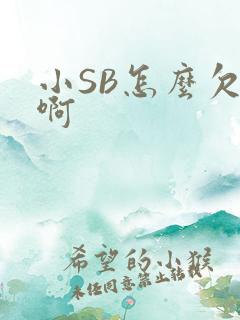小SB怎么欠C啊