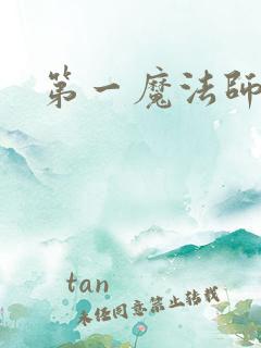第一魔法师