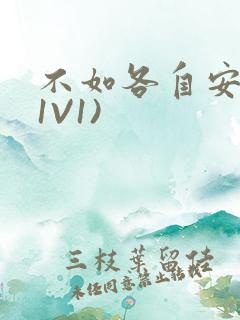 不如各自安好(1V1)