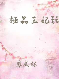 极品王妃玩古代