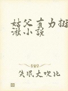 姑父有力挺送徐湫小说