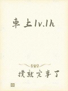 车上1v.1h