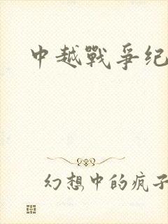 中越战争纪实录