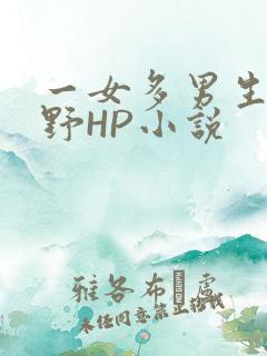 一女多男生活狂野HP小说