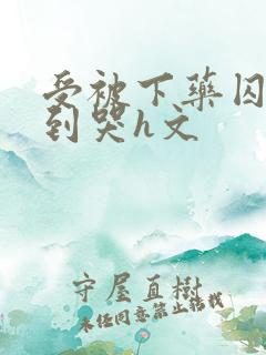 受被下药囚禁脔到哭h文
