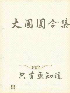大团圆合集