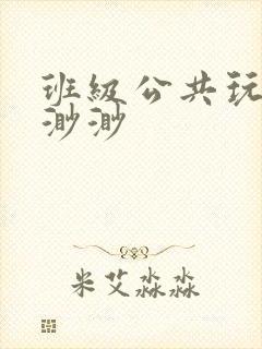 班级公共玩具叶渺渺