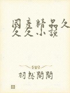 国产精品久久久久久小说