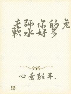 老师你的兔子好软水好多