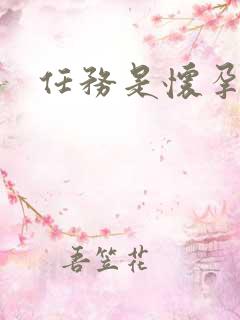 任务是怀孕系统