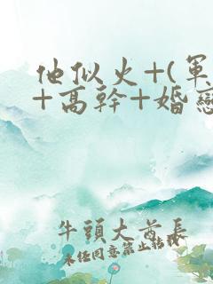 他似火+(军婚+高干+婚恋)