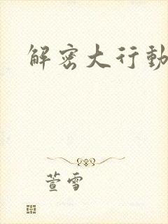 解密大行动