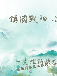镇国战神 小说